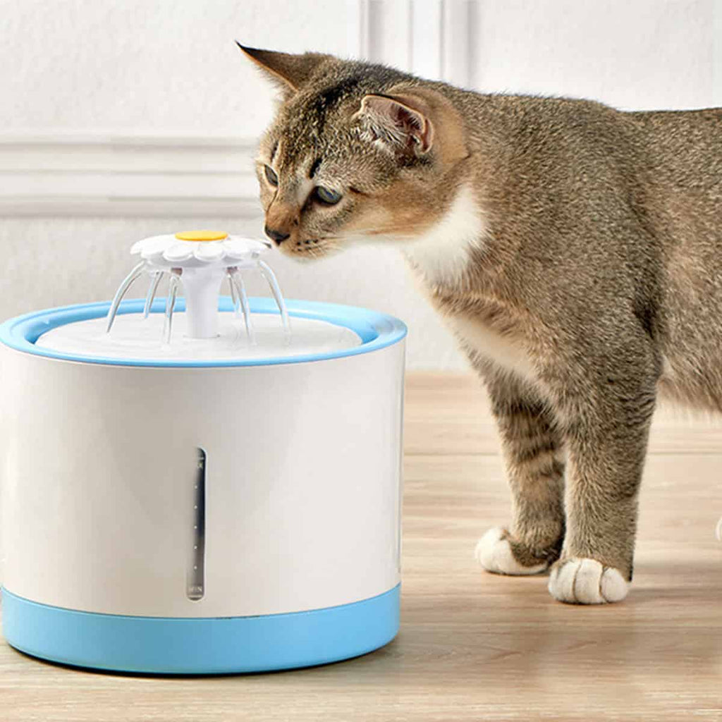 Pet Water Dispenser